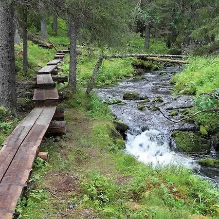 Ylellinen Hirsihuvila Yllaesjaervellae Villa